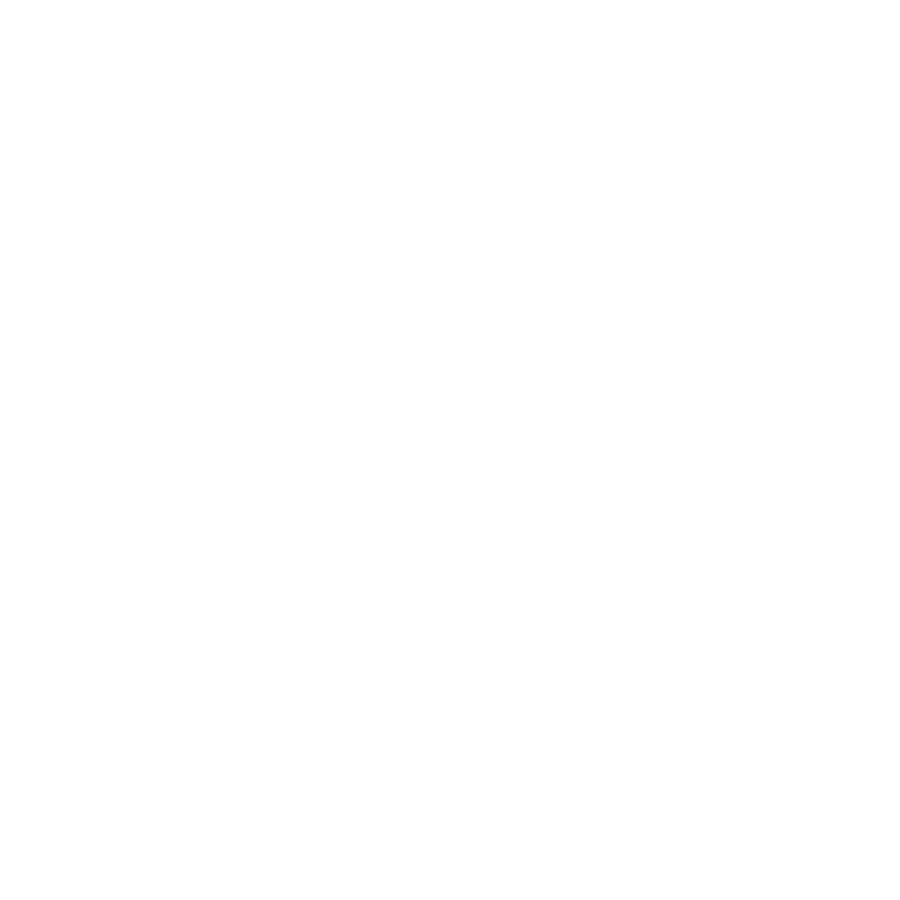 Max Gomes