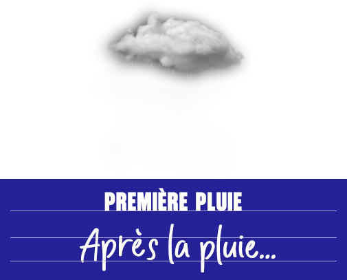 Après la pluie...